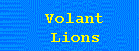Volant Lions WebSite