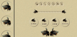 BEE set