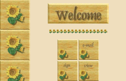 Sunflower set