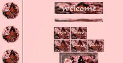 Red Butterfly with Pink Flowers set