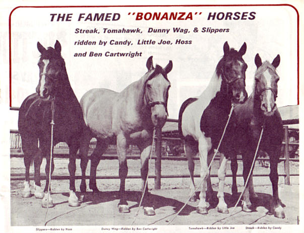 Fat Jones Auction brochure - Bonanza horses