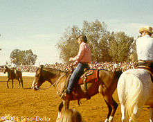 John Davidson cutting