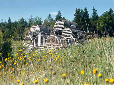 Lobster traps - Breezemere