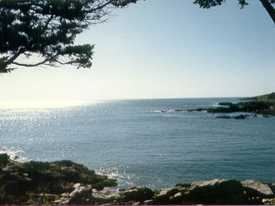 Marginal Way