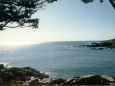 A view from the Marginal Way walk, Ogunquit, Maine