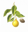 Back to Recipes index