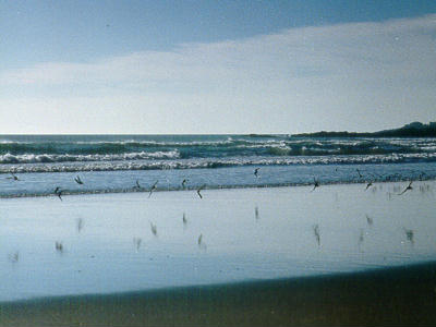 Ogunquit Beach