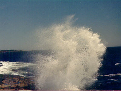 Schoodic Point