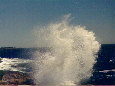 Atlantic spray, Schoodic Point, Maine 1985