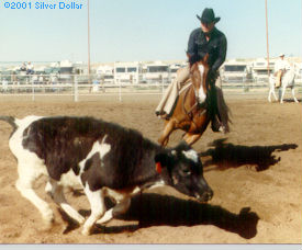cutter cow