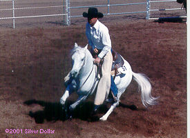 cutter white