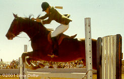 jumper