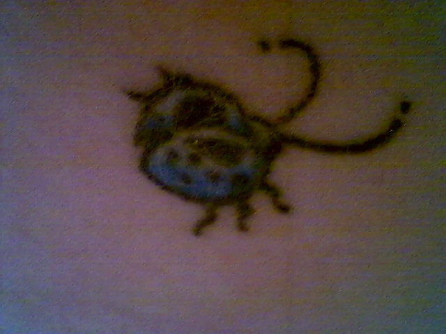 sacre bleu! my ladybug.