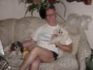 BruceCouchDogs.jpg (67620 bytes)