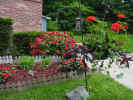FrontGardenCropped.jpg (117951 bytes)
