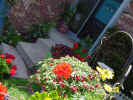 FrontPorch.jpg (105974 bytes)