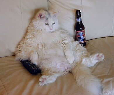 watching the game, having a Bud
