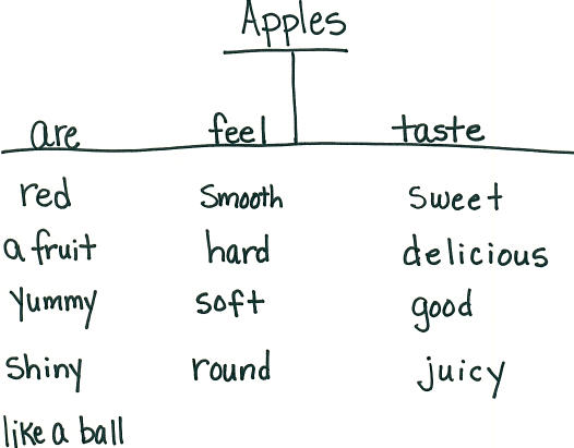 sepwriting2 tree map graphic organizer