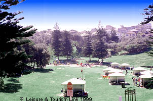 bronte