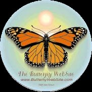Butterfly Website