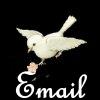 Email me at: little2sassytoo@hotmail.com