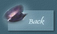 Back to: Lost Friendship