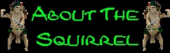 About The Squirrel