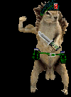 Squirrel