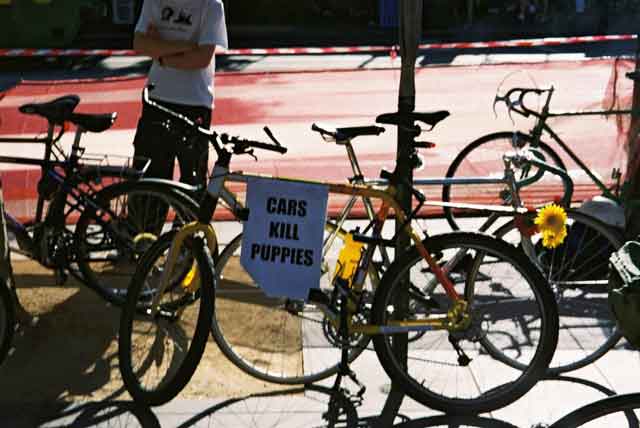 Cars Kill Puppies