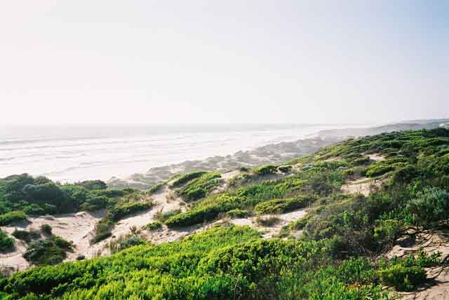 Dunes at St.Andrews, Mornington Peninsula