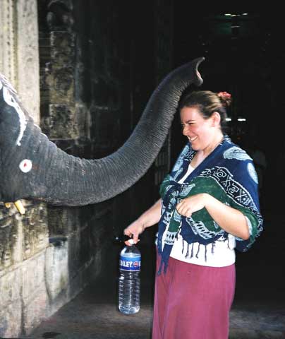 Elephant blessing
