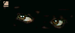 Image of eyes2.gif