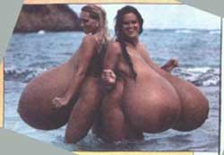 Big Ones