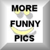 More funny pictures