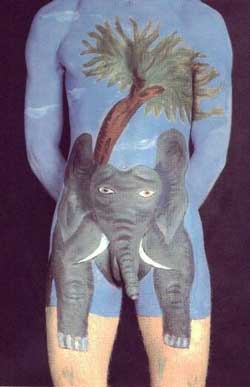 Elephant