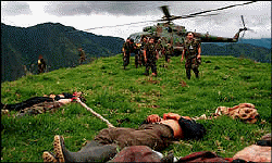 Civil War in Colombia: no end in sight thanks to the �War on Drugs�