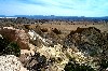 18Desert.jpg