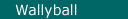 Wallyball
