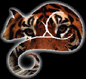 Homepage of LCT Website Creator