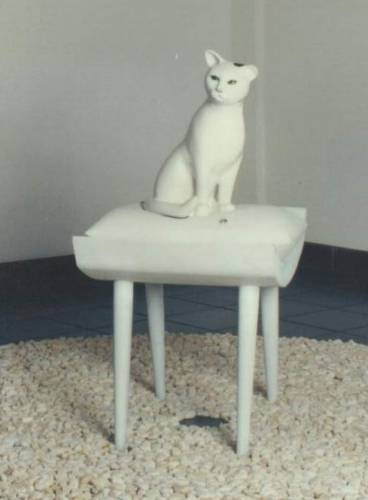 Frustrated Feline