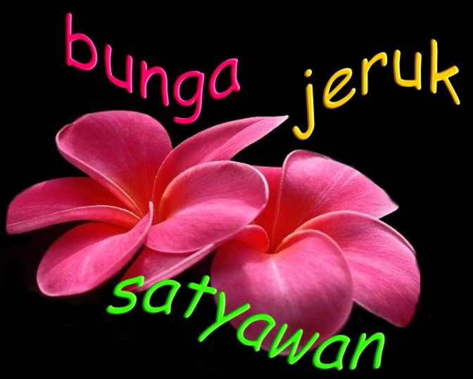 Bunga Jeruk