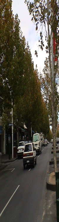 Lygon Street between Faraday and Grattan
