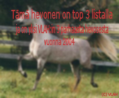 Toiseksi paras arvosteltu hevonen VLAH:ssa pistein 1068