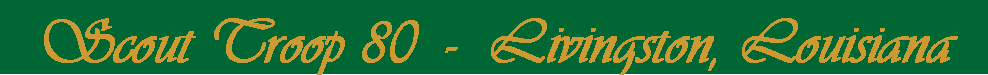Text Box: Scout Troop 80  -  Livingston, Louisiana