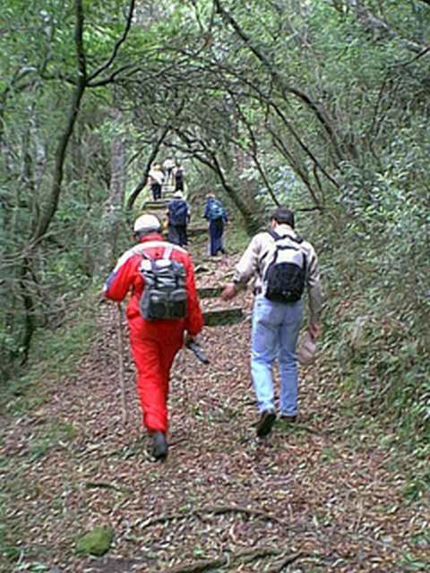 Rumbo a la Caverna