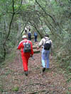 Rumbo a la Caverna de La salamanca de Aigua