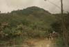 Rumbo a la caverna