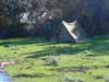 Campamento 2