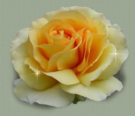 Club Flower