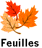 feuille2.gif